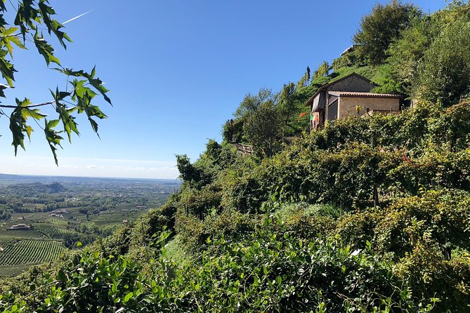 A Sparkling Day in the Prosecco Hills from Venice - Prosecco Hills Viewpoints: World Heritage Views and Photo Stops