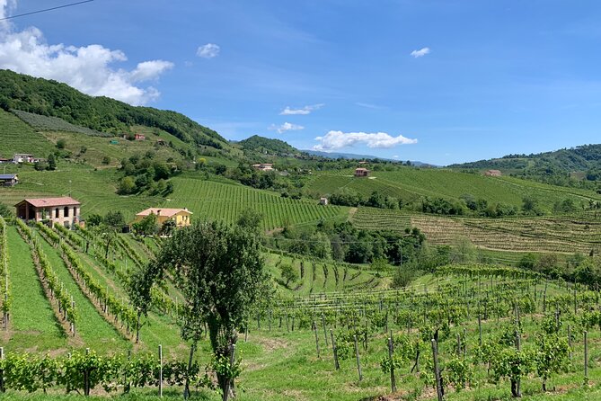 A Sparkling Day in the Prosecco Hills from Venice - Price and Value: Why It’s Not Just a Wine Tour