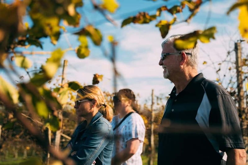 From Venice: Prosecco Hills and Wine Tasting Tour - Should You Book This Prosecco Hills and Wine Tasting Tour?