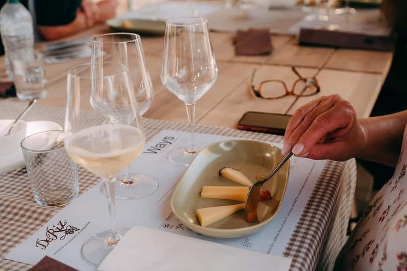 From Venice: Prosecco Hills and Wine Tasting Tour - Who This Tour Suits Best (and Who Might Prefer Something Else)