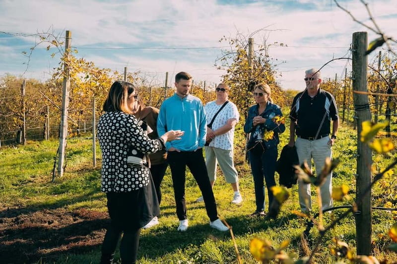 From Venice: Prosecco Hills and Wine Tasting Tour - Stop 1 in Valdobbiadene: Vineyards, Tour, and Lunch With Local Bites