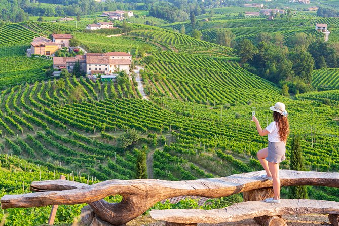 Premium Prosecco Hills Winery Tour with Prosecco Tastings & Food - Key Things I’d Prioritize