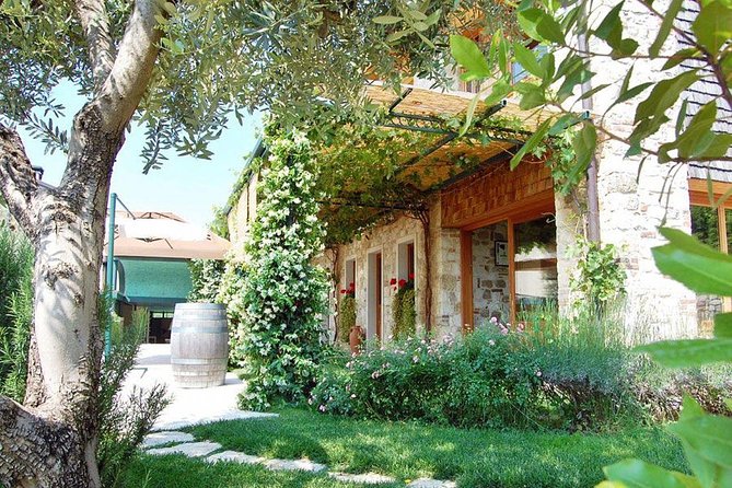 Premium Prosecco Hills Winery Tour with Prosecco Tastings & Food - Why the Prosecco Hills Tour Feels Worth It