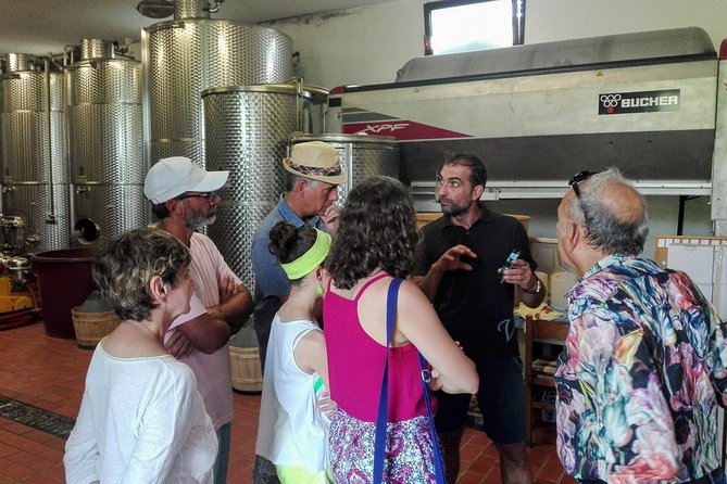 Premium Prosecco Hills Winery Tour with Prosecco Tastings & Food - Conegliano Winery Time With the Owner: Tastings + Pairings