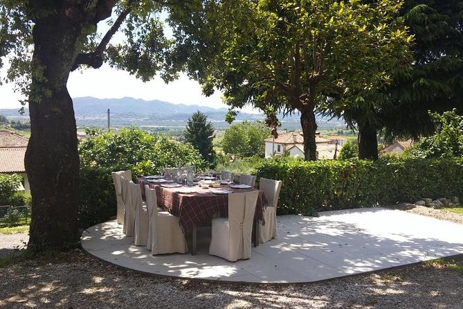 Premium Prosecco Hills Winery Tour with Prosecco Tastings & Food - The Food Pairings: Local Cold Cuts and Cheese That Don’t Feel Like Afterthoughts