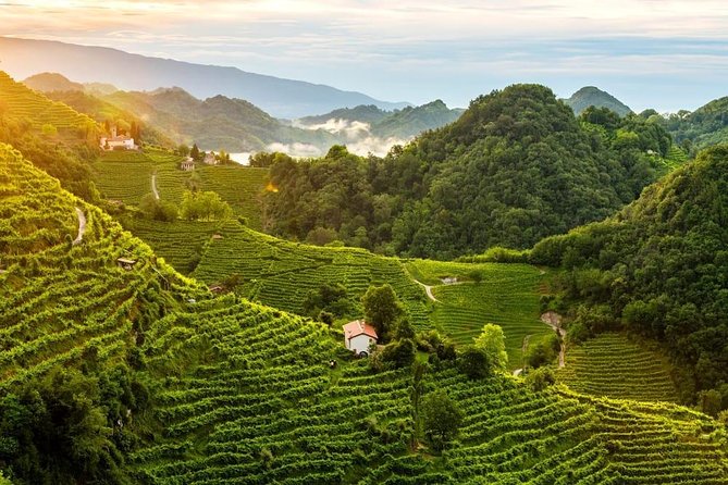 Premium Prosecco Hills Winery Tour with Prosecco Tastings & Food - Weather and Comfort: A Day in the Hills Isn’t Always Predictable