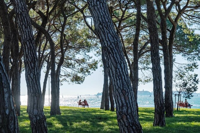 Punta Sabbioni to Venice Round-Trip Boat Ticket - The 30-minute ride: views, comfort, and what you’ll actually notice