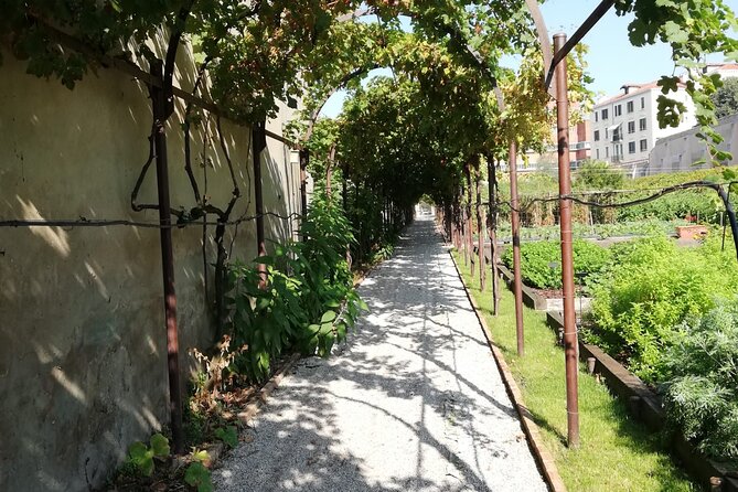 Secret Gardens of Venice Walking Tour - Stop 3: Giardini Savorgnan and the noble-family garden story