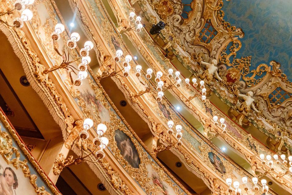 The Majestic Teatro La Fenice: Guided Tour in Venice - Who should book this Teatro La Fenice guided tour?