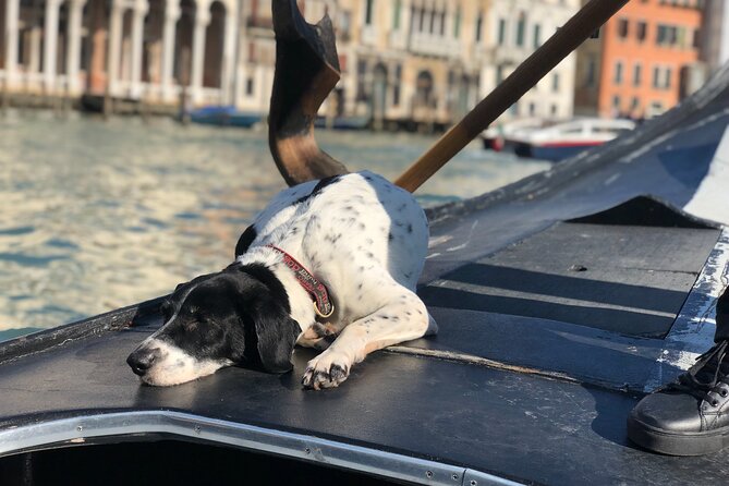 The Secrets of Venice - Private Tour - Misericordia and the local edge: where Venice slows down