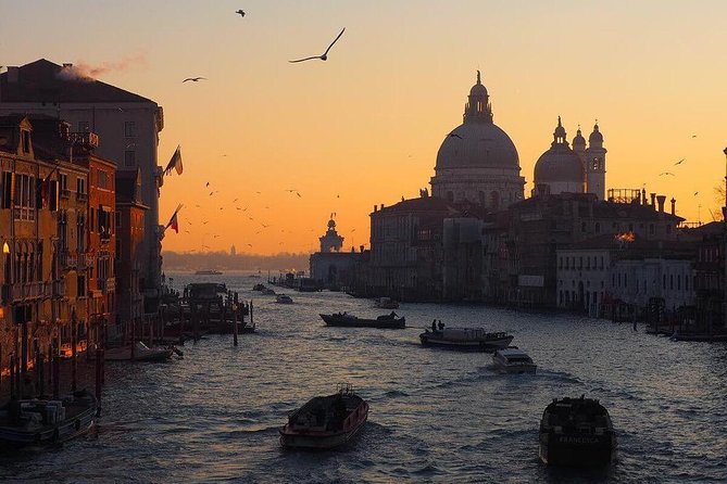 Venice Marco Polo Airport Private Arrival Transfer via Motorboat - Why this private motorboat transfer feels like the best first step