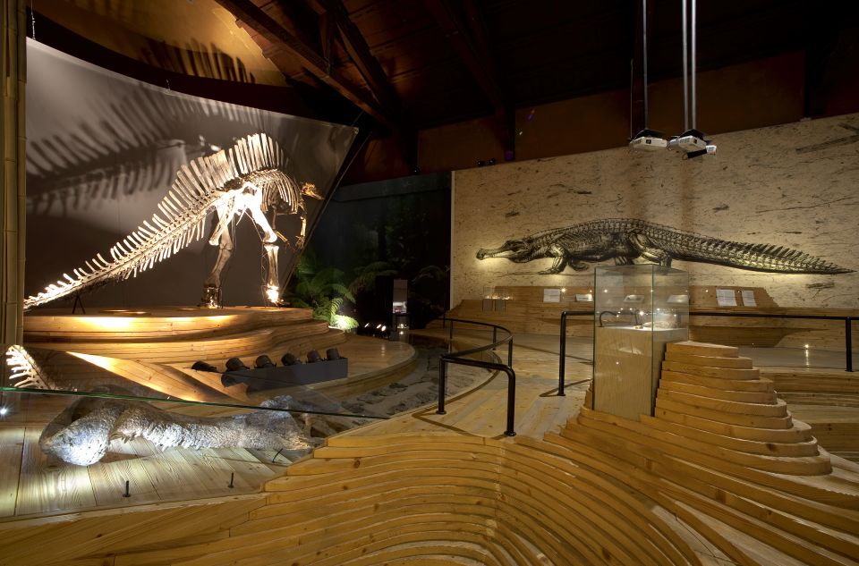 Venice: Natural History Museum Entry Ticket - Key things to know before you go