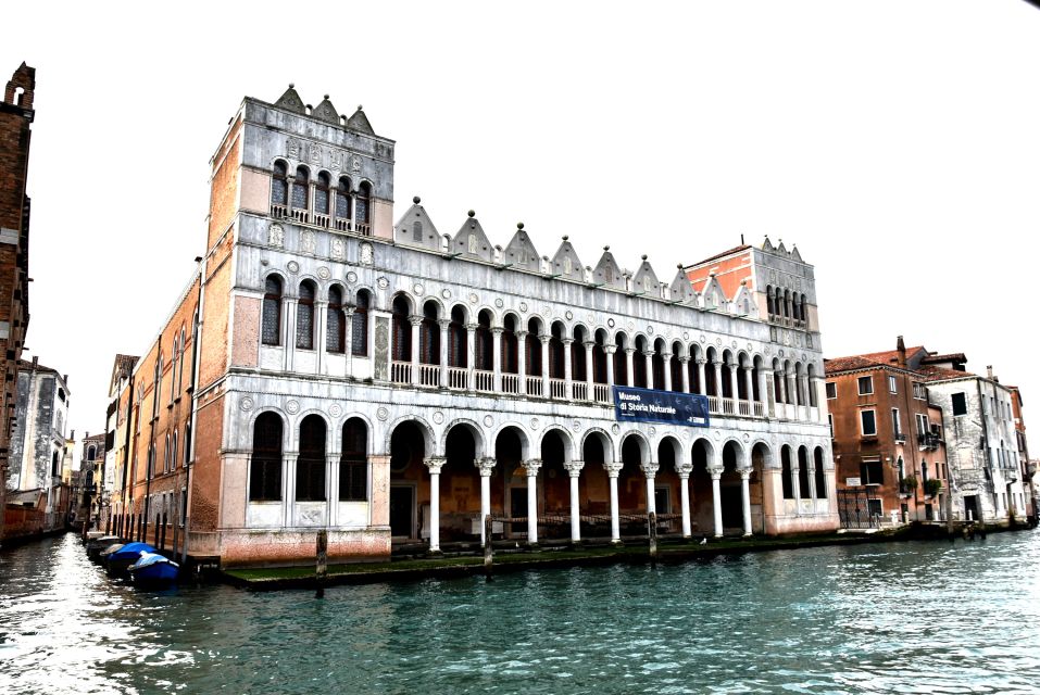 Venice: Natural History Museum Entry Ticket - How the museum is organized: what to see first (and what you can skip)