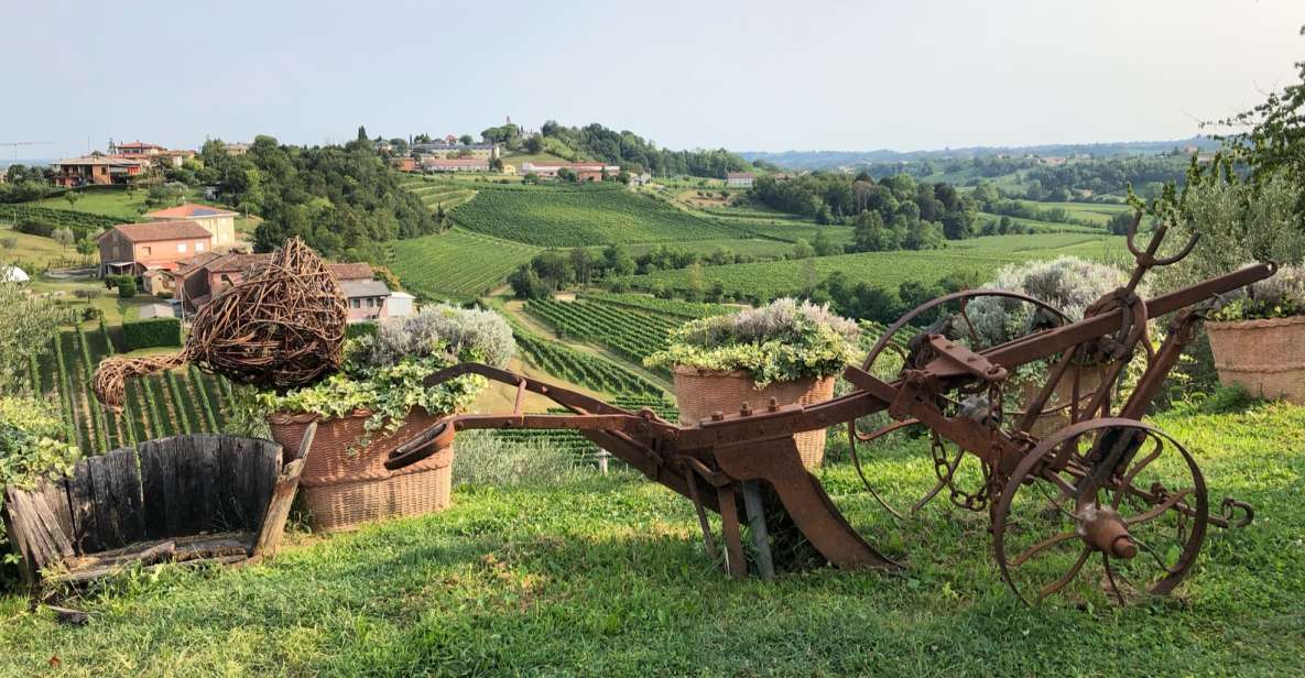 Venice: Prosecco Hills Wineries Tour with Tastings and Lunch - Key things I’d bet you’ll care about
