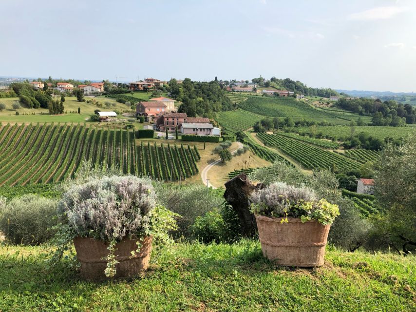 Venice: Prosecco Hills Wineries Tour with Tastings and Lunch - Who should book this Prosecco Hills day tour