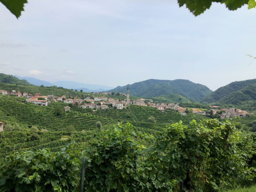 Venice: Prosecco Hills Wineries Tour with Tastings and Lunch - The Prosecco Hills start with Conegliano (and a real day plan)