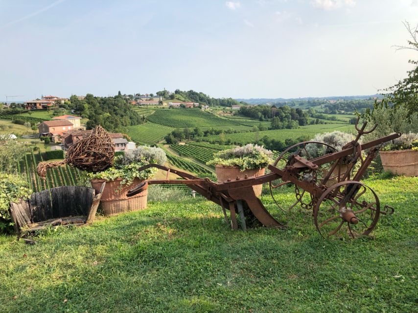 Venice: Prosecco Hills Wineries Tour with Tastings and Lunch - Aperitivo in the hills: birds, views, and a slower kind of pause