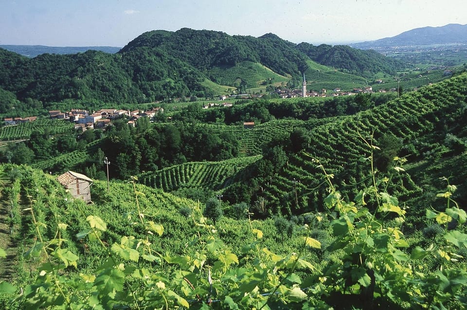 Venice: Prosecco Hills Wineries Tour with Tastings and Lunch - Family-owned Osteria lunch: spiedo by the fire and four full courses