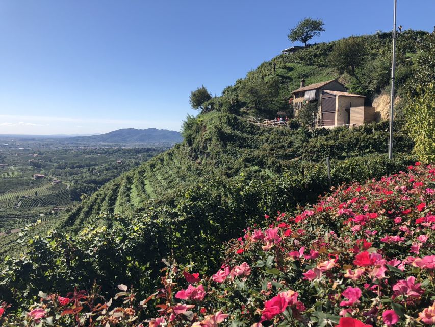 Venice: Prosecco Hills Wineries Tour with Tastings and Lunch - Stop 2 DOCG winery: older vines and a different side of Prosecco