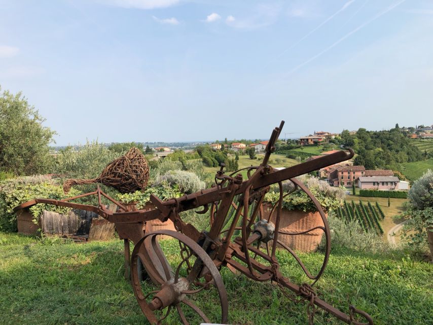 Venice: Prosecco Hills Wineries Tour with Tastings and Lunch - The guide’s role: the difference between information and a good day