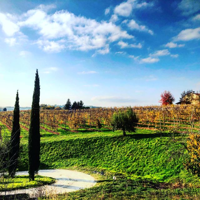 Venice: Prosecco Hills Wineries Tour with Tastings and Lunch - Transport and pacing: why the van + train combo works