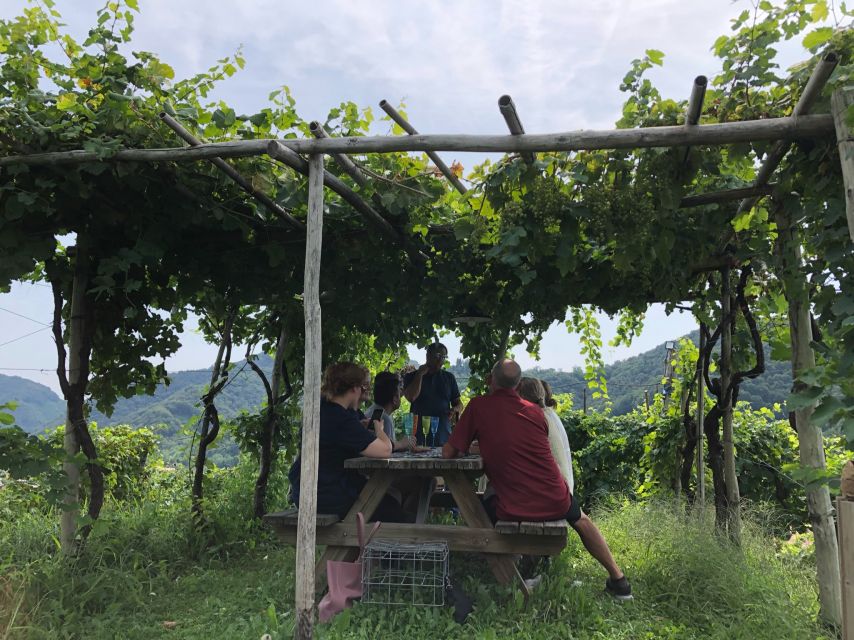 Venice: Prosecco Hills Wineries Tour with Tastings and Lunch - Price and value: is $202.78 worth it?