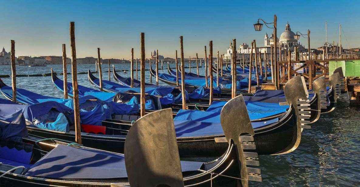 Venice: Shared Gondola Tour - What You’ll See Up Close: Mansions, Bridges, and Water-Level Venice